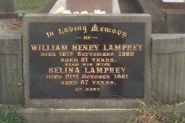 Full-size image