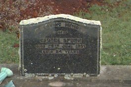 Full-size image