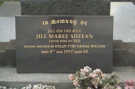 Full-size image