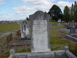 Full-size image