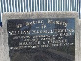 Full-size image