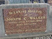 Full-size image