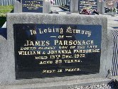 Full-size image
