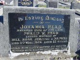 Full-size image