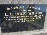 Full-size image