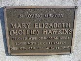 Full-size image