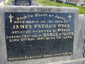 Full-size image