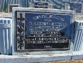 Full-size image