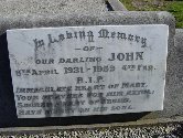 Full-size image