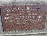 Full-size image