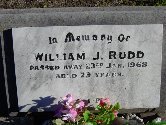 Full-size image