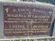 Full-size image