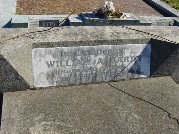 Full-size image