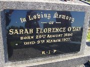 Full-size image