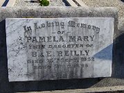 Full-size image