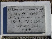 Full-size image
