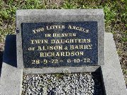 Full-size image