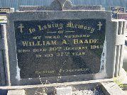 Full-size image