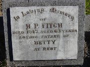 Full-size image