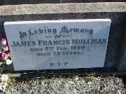 Full-size image