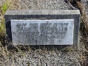 Full-size image
