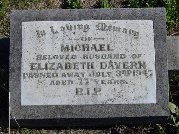 Full-size image