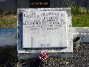 Full-size image