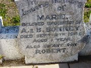 Full-size image