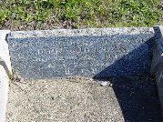 Full-size image
