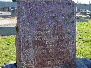 Full-size image