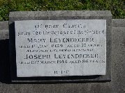 Full-size image