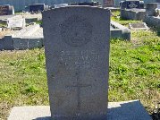 Full-size image