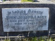 Full-size image