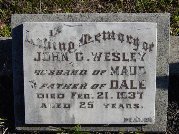 Full-size image