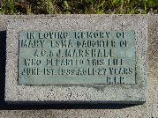 Full-size image