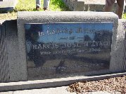 Full-size image