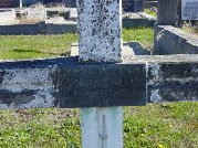 Full-size image