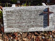 Full-size image