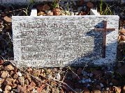 Full-size image