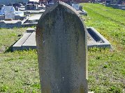 Full-size image