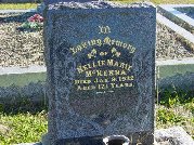 Full-size image