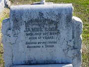 Full-size image