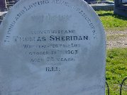 Full-size image