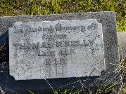 Full-size image