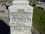Full-size image