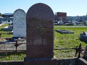 Full-size image