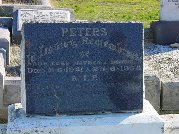Full-size image