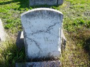 Full-size image