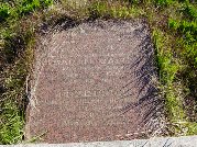 Full-size image