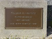 Full-size image